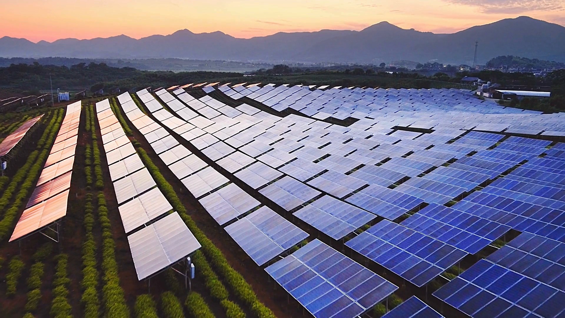 Solar panels on the roofs of two suburban homes